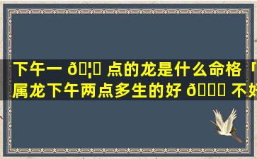 下午一 🦍 点的龙是什么命格「属龙下午两点多生的好 🐘 不好」